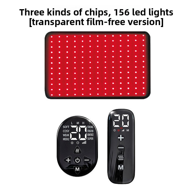 Pet Red Light Physiotherapy Instrument