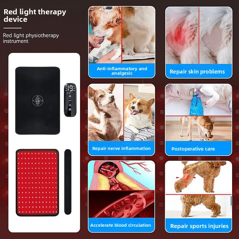 Pet Red Light Physiotherapy Instrument