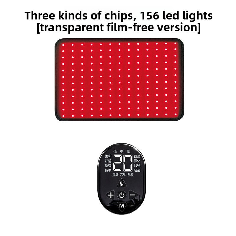 Pet Red Light Physiotherapy Instrument