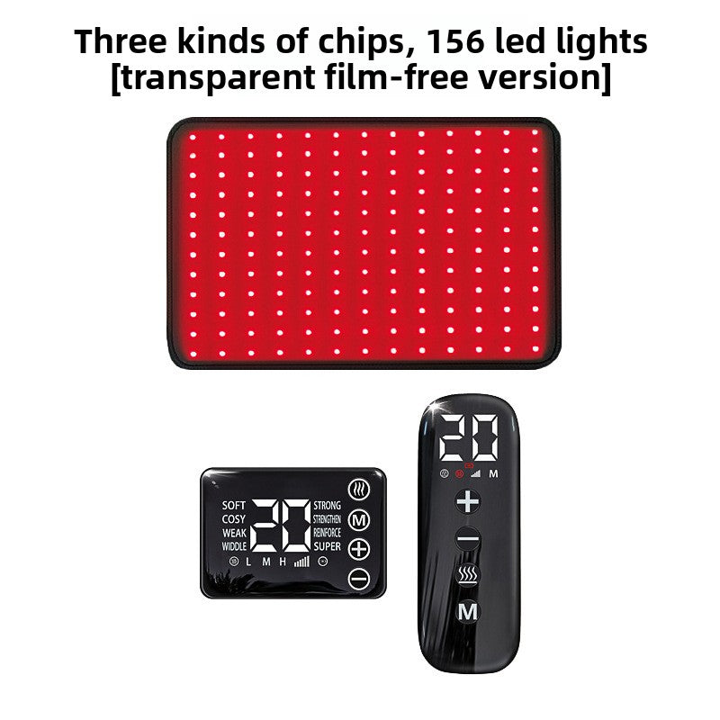 Pet Red Light Physiotherapy Instrument