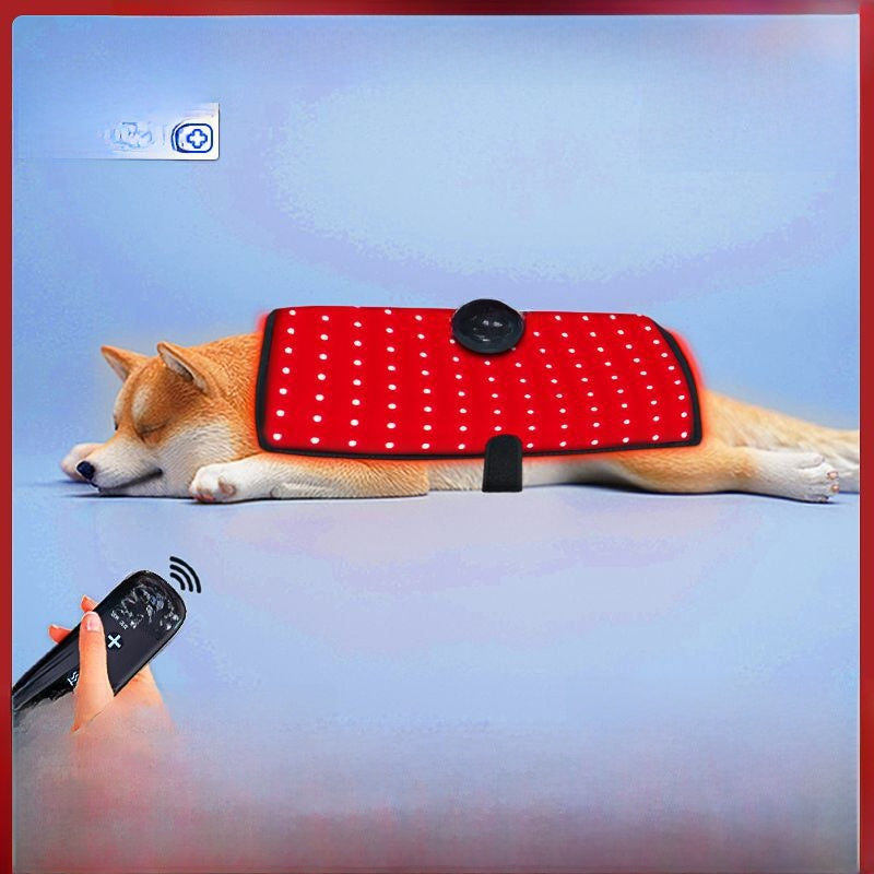 Pet Red Light Physiotherapy Instrument