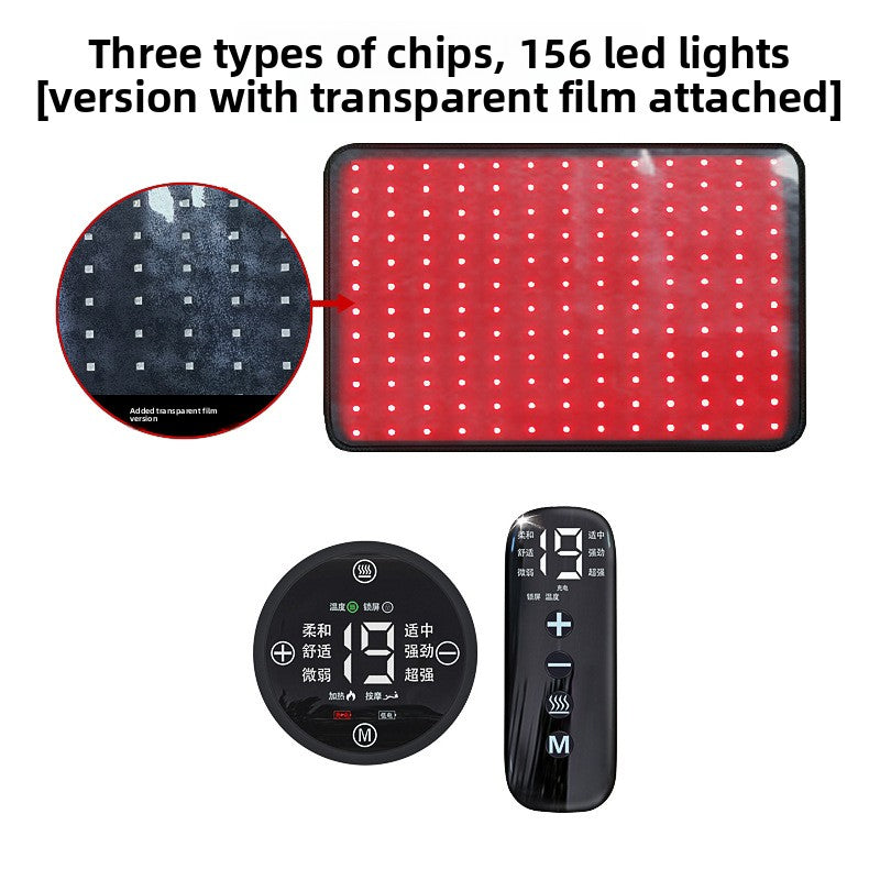 Pet Red Light Physiotherapy Instrument