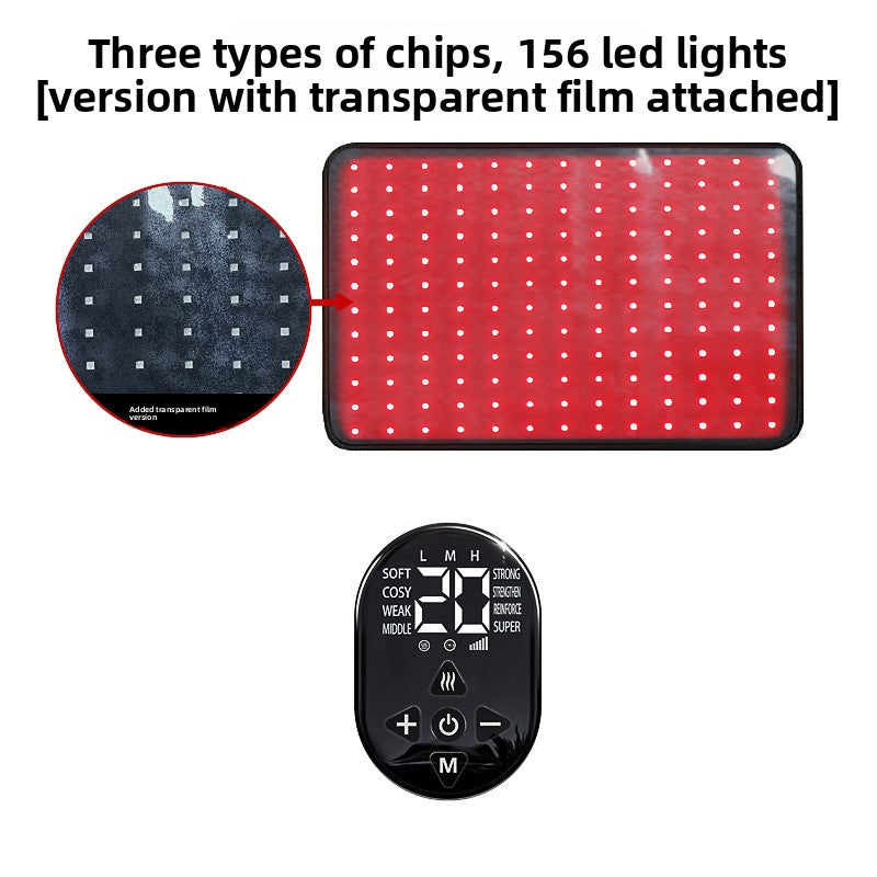 Pet Red Light Physiotherapy Instrument