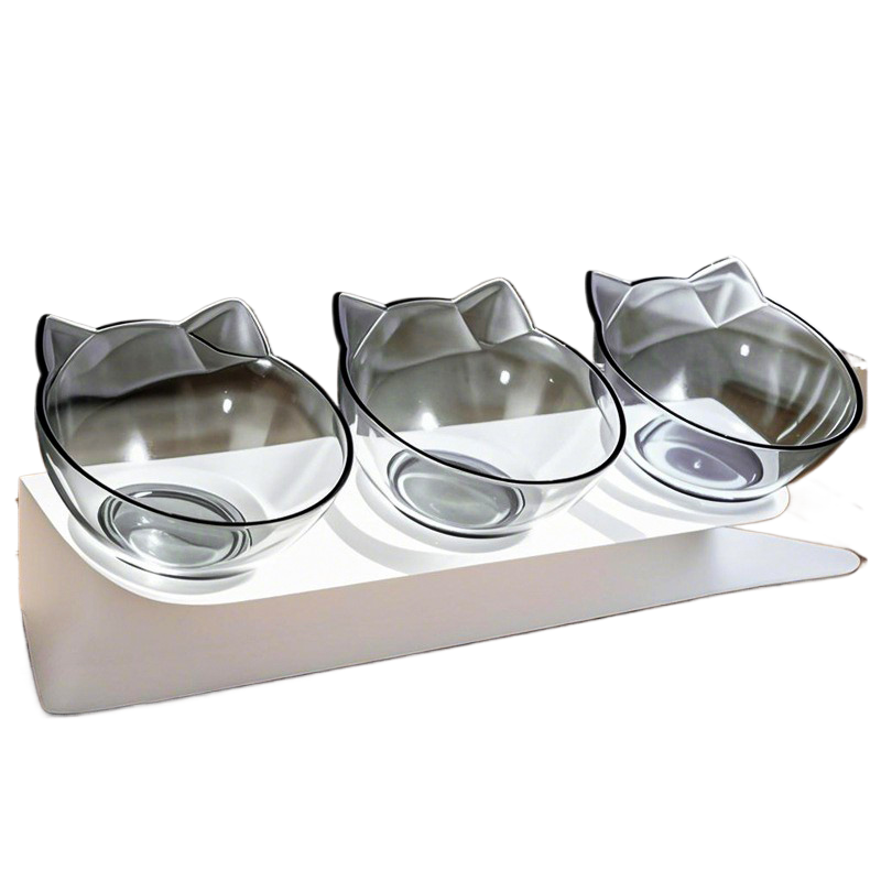 Elevated Cat Bowls with Slanted Design