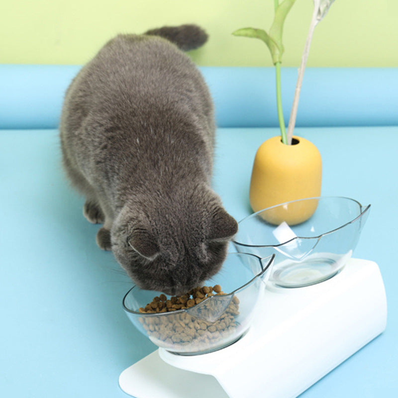 Elevated Cat Bowls with Slanted Design