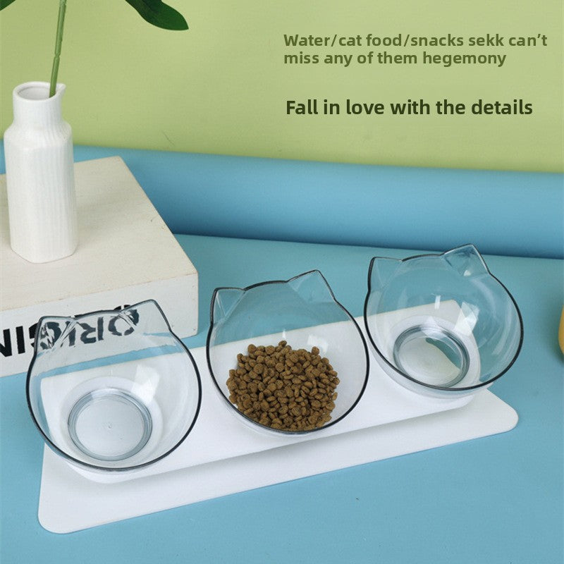 Elevated Cat Bowls with Slanted Design